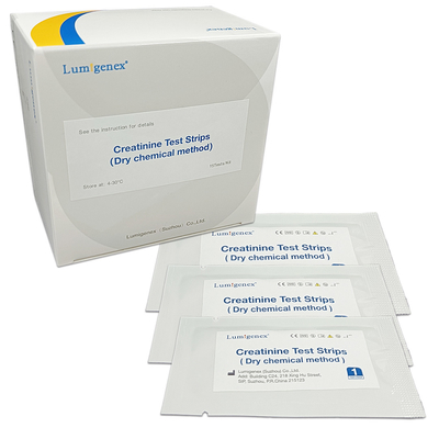 Kidney Test Creatinine &amp; Urea &amp; Uric Acid Meter การทำงานของไต