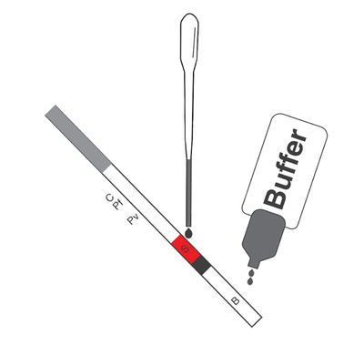Malaria P.F/ P.V Antigen Rapid Test Cassette (Colloidal Gold) CE Registered สำหรับโรงพยาบาลคลินิกวินิจฉัย