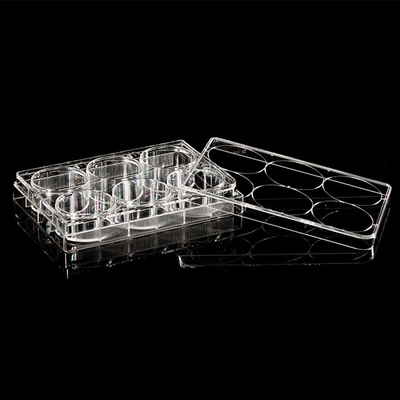 ISO13485 Polystyrene PCR วัสดุสิ้นเปลือง 6 แผ่นเพาะเซลล์